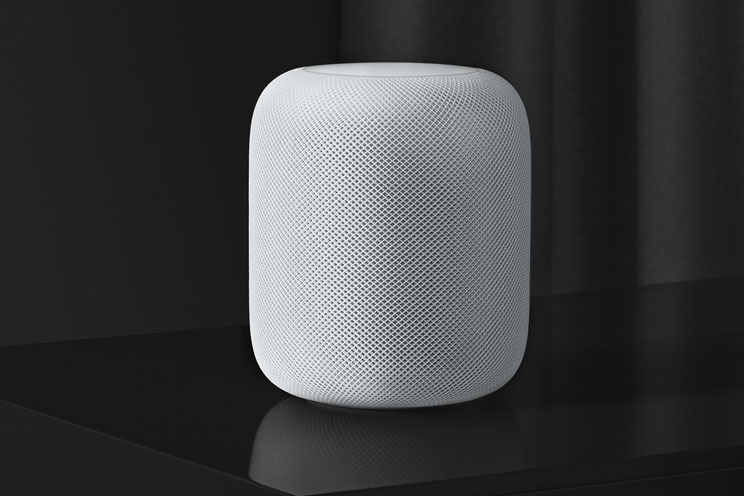 העוזרים האישיים ידריכו אותנו לגבי הקורונה העוזרים האישיים ידריכו אותנו לגבי הקורונה